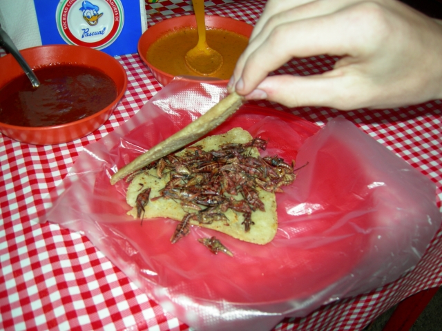 Tepoztlán  - Sandwich local