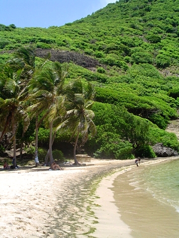 Plage des saintes