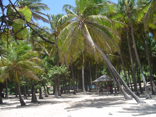 Plage des saintes