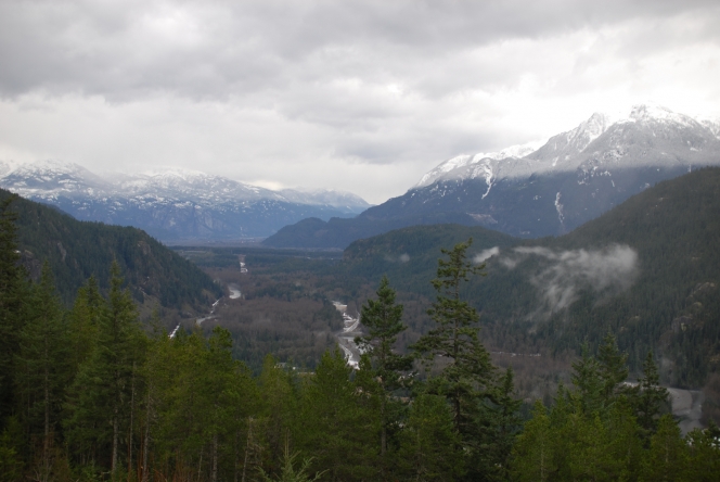 rockies