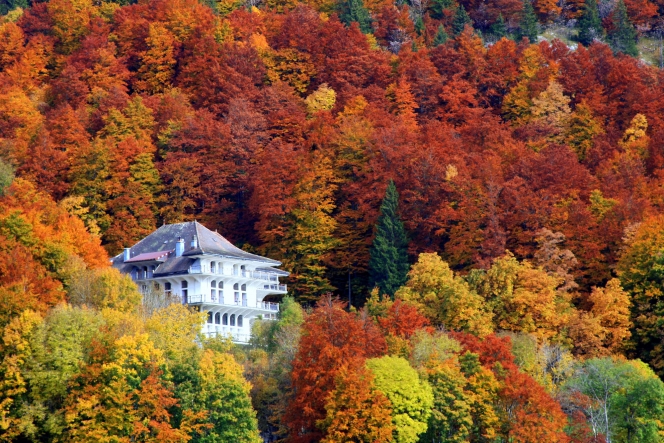 Couleurs d’automne - Vallée de Joux