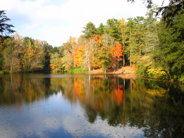 Autumn at Biltmore Estate Gardens